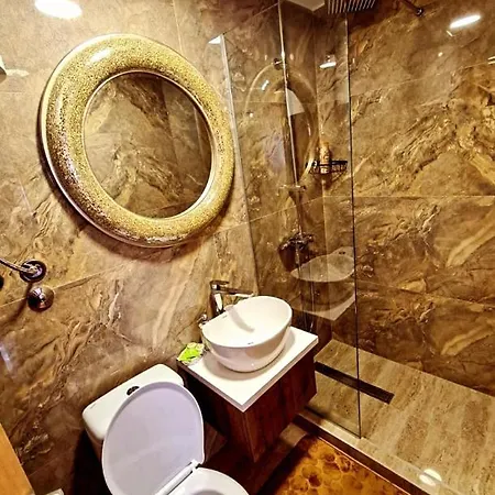 Vip Zlatiborski Apartment Zlatibor